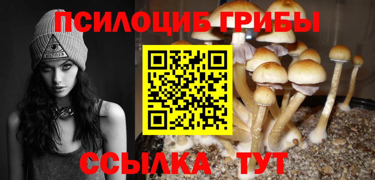 Галлюциногенные грибы MAGIC MUSHROOMS  Вход с VPN  Сочи 